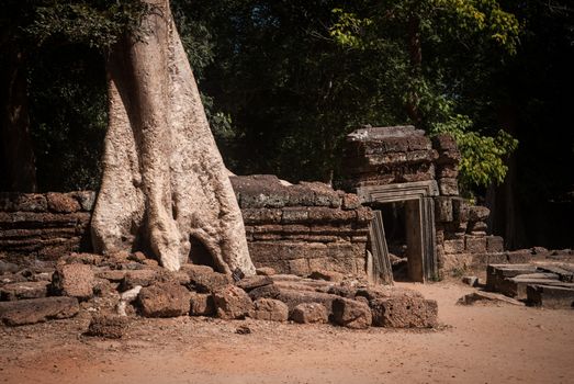 Ta Prohm temple ruines in Angkor, Cambodia
