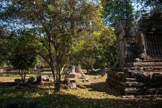 Ta Prohm temple ruines in Angkor, Cambodia