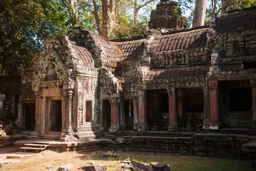 Ta Prohm temple ruines in Angkor, Cambodia