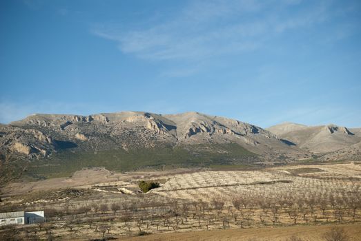 Spanish landscapes on a way from Valencia to Granada