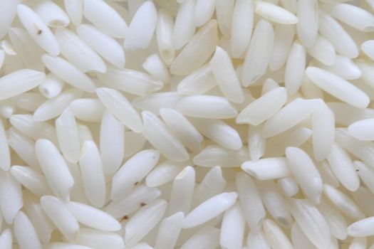 raw white rice background macro