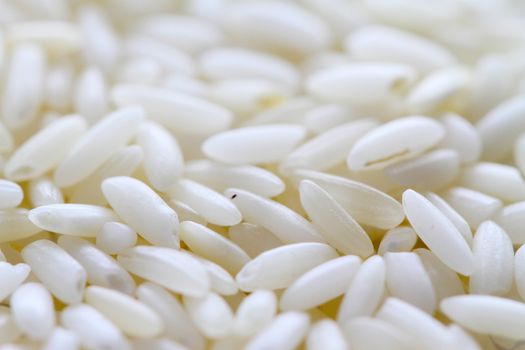 raw white rice background macro