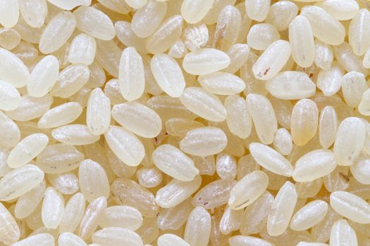 raw white rice background macro