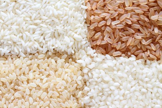 brown and white rice background