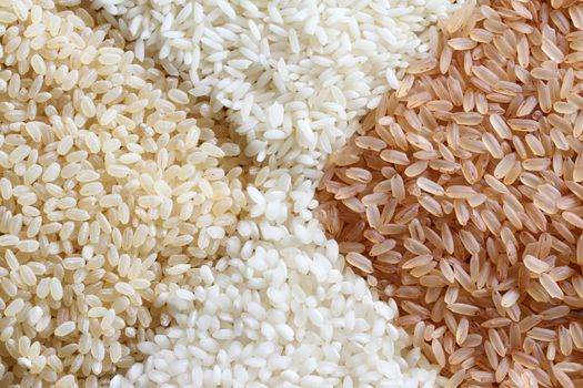 brown and white rice background