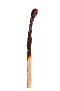 Burned match filmed close-up on white background