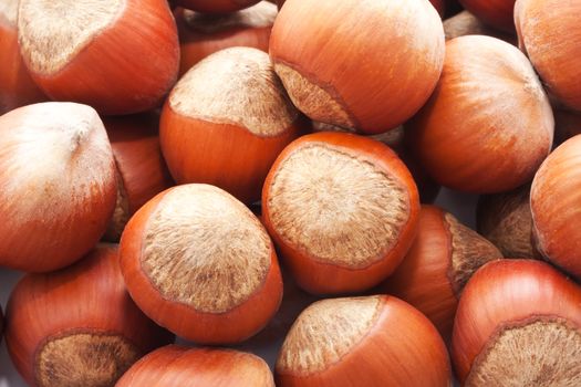 Heap of hazelnuts, filbert nuts making background