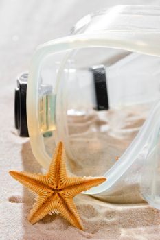 mask for snorkeling and starfish on dry sand