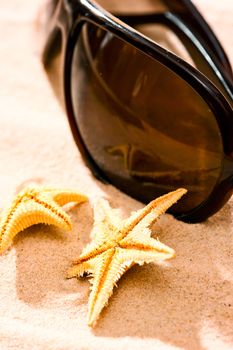 two starfish sunglasses on the beach
