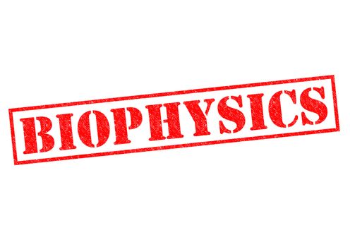 BIOPHYSICS red Rubber Stamp over a white background.