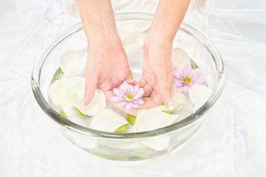 Spa composition of woman's hands, flowers and petals