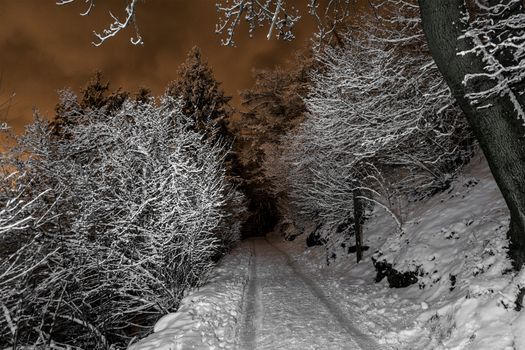 Mountain path in a winter night, regional park of Campo dei Fiori - Varese, Lombardy - Italy