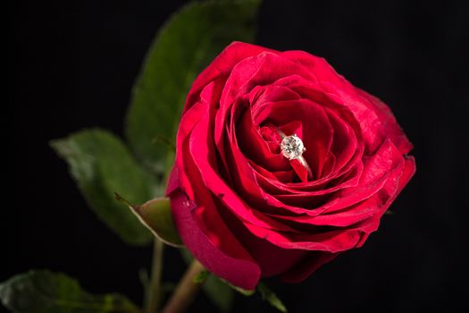 The perfect Valentine's Day gift, an engagement ring on a red rose