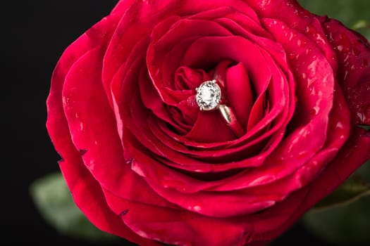 The perfect Valentine's Day gift, an engagement ring on a red rose