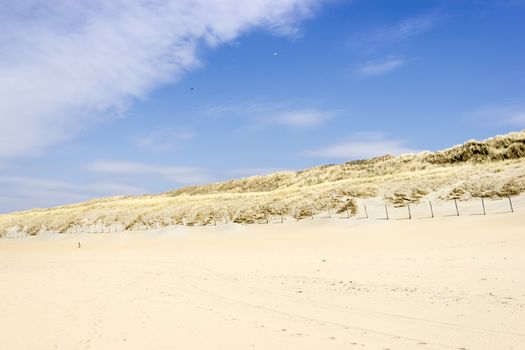 Beach on North Sea, the Netherlands