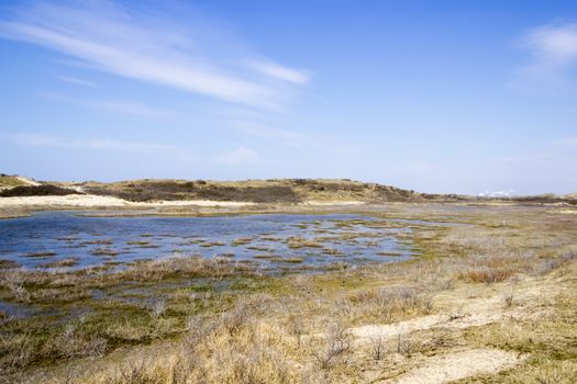 Lakes, National Park Zuid Kennemerland, The Netherlands