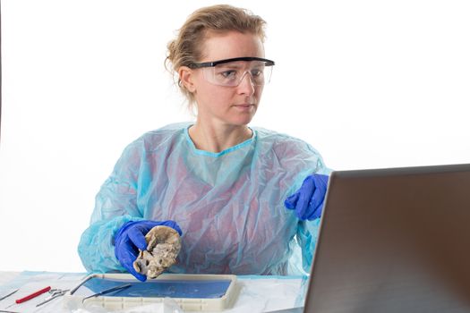 Attractive female medical student in anatomy class holding a preserved sheep heart which she is analysing as she looks up information on her laptop computer