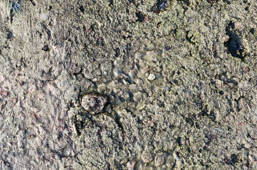 seamless concrete texture of old stone wall with a crack