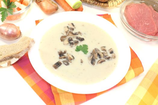 fresh Veal cream soup with mushrooms on a light background