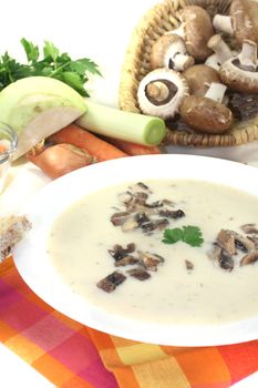 Veal soup with mushrooms on a light background