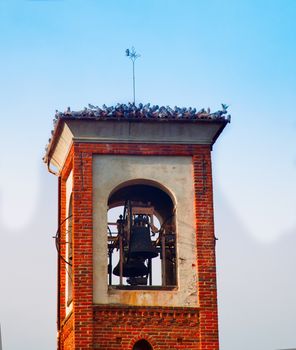 Bell tower with roof covered by pidgeons