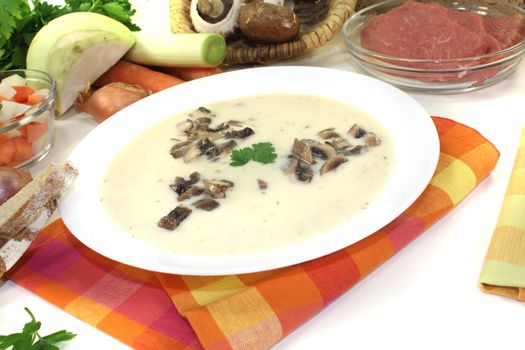 delicious Veal cream soup with mushrooms and parsley on a light background
