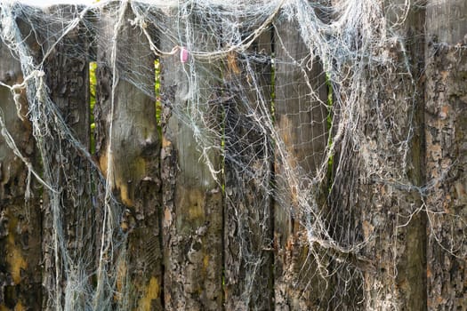 Is an old fishing net on the fence