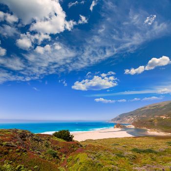 California beach in Big Sur in Monterey Pacific Highway along State Route 1 US