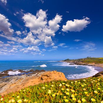 California Bean Hollow State beach in Cabrillo Highway on State Route 1 San Mateo