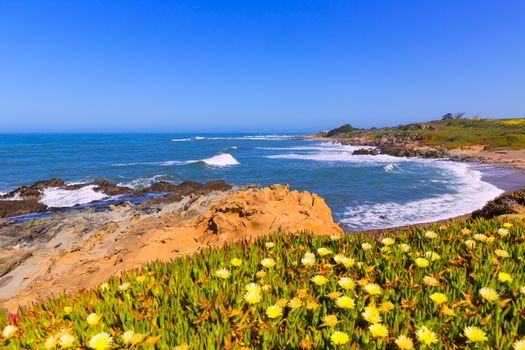 California Bean Hollow State beach in Cabrillo Highway on State Route 1 San Mateo