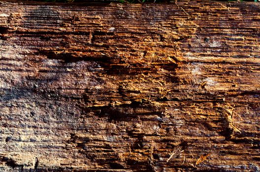 Old wood cracked texture