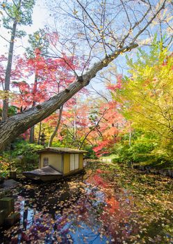 Japanese garden in autumn, Tokyo, Japan