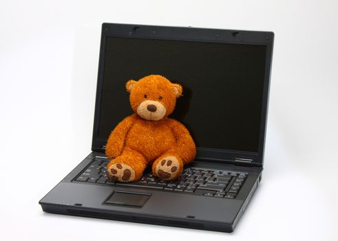 teddy bear abandoned because new digital toys