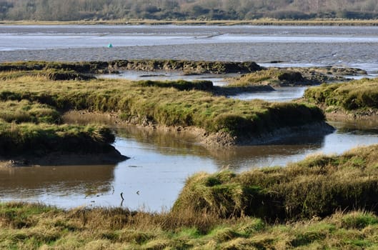 Colne Estuary