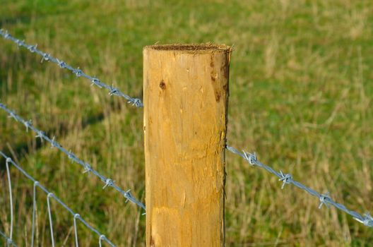 Wooden post and barbed wire