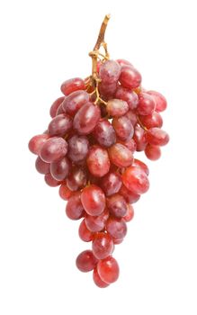 Branch of grapes isolated on white background