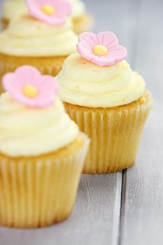Pretty yellow and pink cupcakes with extreme shallow depth of field and selective focus on center cupcake.