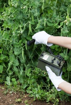 Measuring radiation levels of vegetables