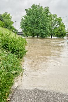 Inundation of trees in the overflowed Ebro river