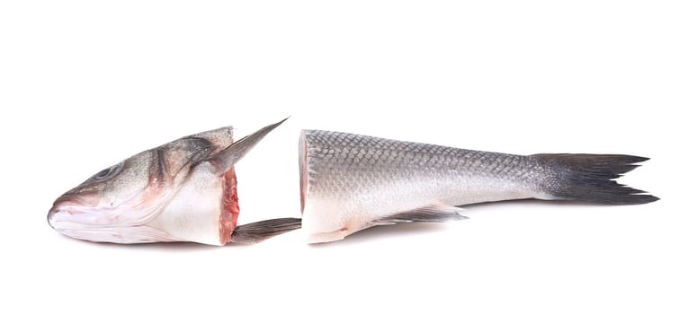 Seabass head and tail close up. Isolated on a white background.