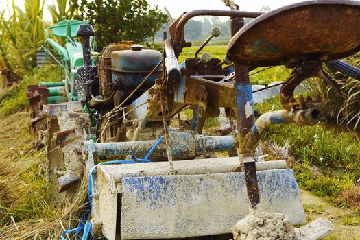 tractor on rice farm