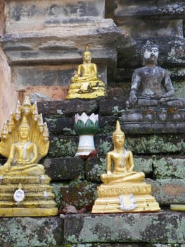 four







Buddha statue