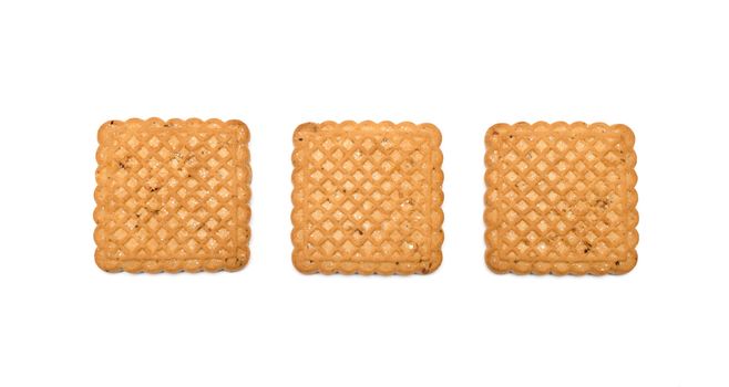 Square shaped cookies on a white background