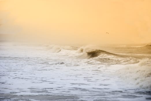 Beach in Denmark