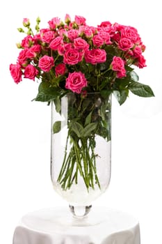 Bouquet of pink roses over white background
