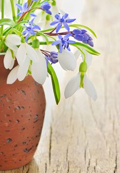 Bouquet of snowdrops in vase