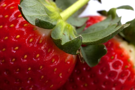 Strawberry fruits isoalted on a white background