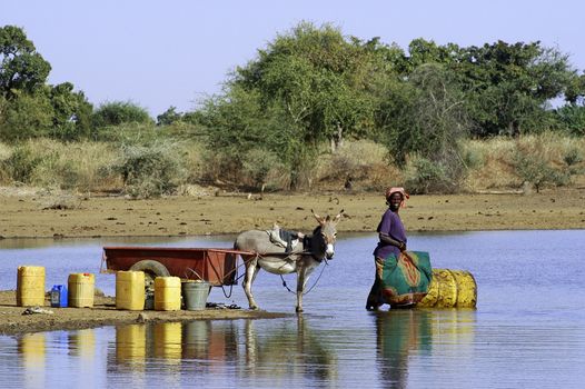 filling and transportation of water bottles at lake is for women to irrigate crops