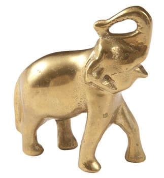 Brass Elephant with white background