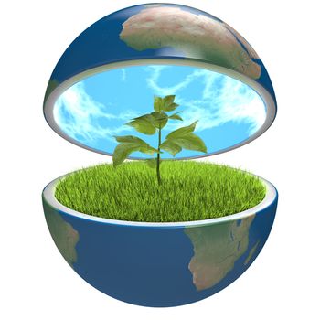 Small plant growing inside opened planet Earth, isolated on white background, concept of ecology, symbol of new life. Elements of this image furnished by NASA